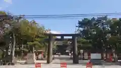 筥崎宮の鳥居