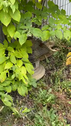 瀧澤瀧神(北海道)