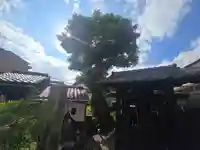 石上神社(京都府)