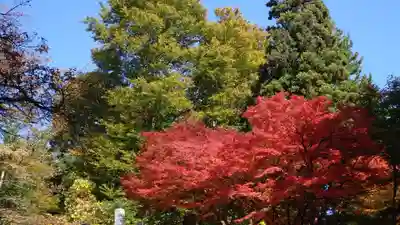 珍蔵寺　(山形県)