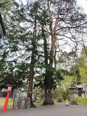 滝上神社(北海道)