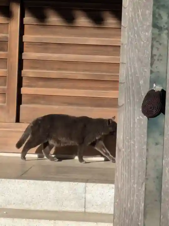 香念寺(東京都)