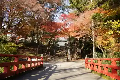 根来寺(和歌山県)