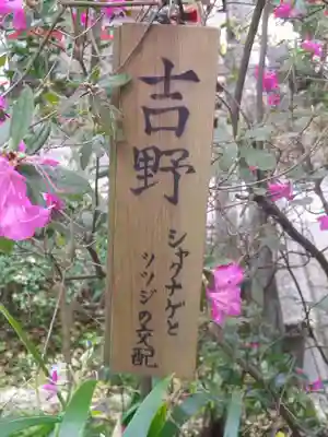 荏柄天神社のその他建物