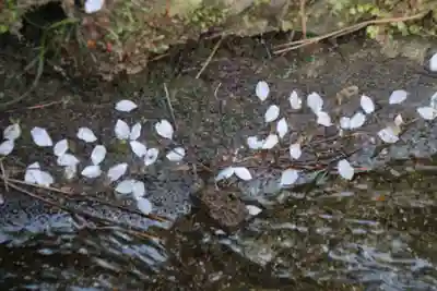 醍醐寺のその他建物