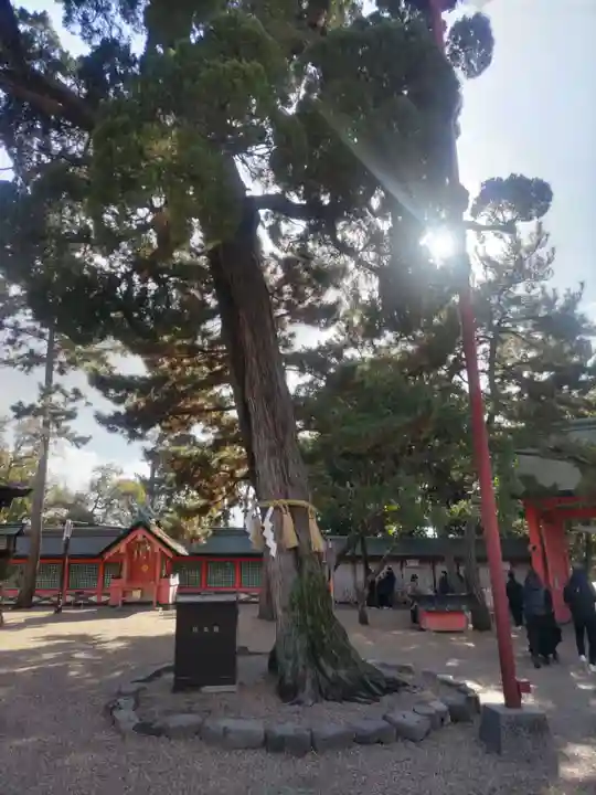 住吉大社(大阪府)