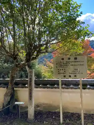 性海寺(兵庫県)