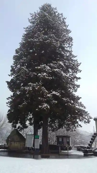烏帽子山八幡宮の自然