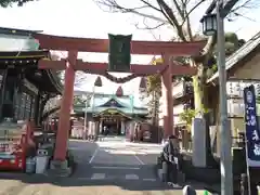 須賀神社の鳥居