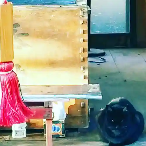 息栖神社の動物