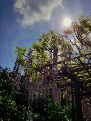 愛染院(東京都)