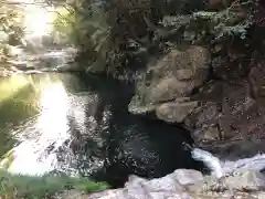 神龍八大龍王神社(熊本県)