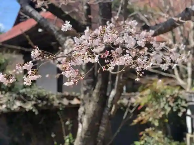 木舟山 順教寺の自然