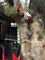 三輪神社(愛知県)