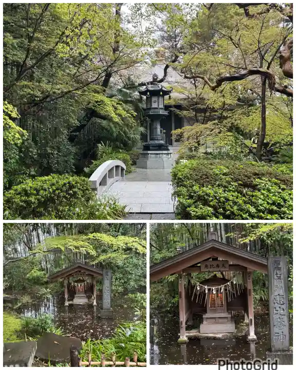 大正寺の{uncategorized: "未分類", other: "その他", undefined: "問題あり", building: "その他建物", grave: "お墓", sacred_gate: "鳥居", guardian: "狛犬", statue: "像", buddha: "仏像", history: "歴史", nature: "自然", garden: "庭園", animal: "動物", pagoda: "塔", temizu: "手水舎", mountain_gate: "山門・神門", sanctuary: "本殿・本堂", subordinate: "末社・摂社", art: "芸術", scenery: "景色", jizo: "地蔵", ema: "絵馬", goshuin: "御朱印", omikuji: "おみくじ", items: "授与品その他", amulet: "お守り", goshuincho: "御朱印帳", eats: "食事", festival: "お祭り", votive_dance: "神楽", shichigosan: "七五三参", wedding: "結婚式", experience: "体験その他", initially: "初詣", around: "周辺", anti_infection: "感染症対策"}