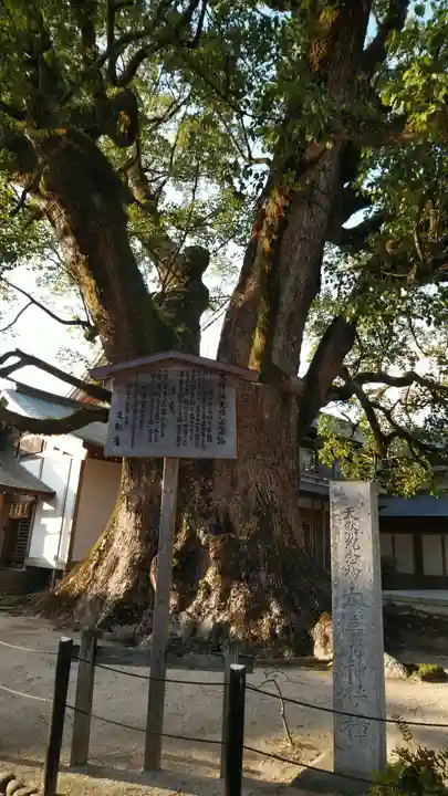 太宰府天満宮の自然