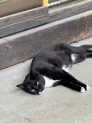岡部春日神社～👹鬼門よけの🌺花咲く🌺やしろ～(福島県)