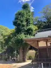 三島神社(愛媛県)