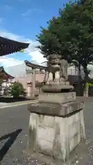 諏訪神社の狛犬