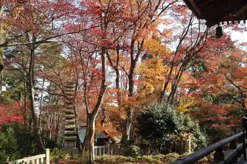 柳谷観音　楊谷寺の自然