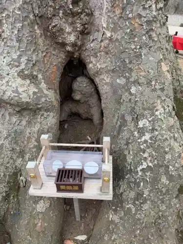 一言主神社の{uncategorized: "未分類", other: "その他", undefined: "問題あり", building: "その他建物", grave: "お墓", sacred_gate: "鳥居", guardian: "狛犬", statue: "像", buddha: "仏像", history: "歴史", nature: "自然", garden: "庭園", animal: "動物", pagoda: "塔", temizu: "手水舎", mountain_gate: "山門・神門", sanctuary: "本殿・本堂", subordinate: "末社・摂社", art: "芸術", scenery: "景色", jizo: "地蔵", ema: "絵馬", goshuin: "御朱印", omikuji: "おみくじ", items: "授与品その他", amulet: "お守り", goshuincho: "御朱印帳", eats: "食事", festival: "お祭り", votive_dance: "神楽", shichigosan: "七五三参", wedding: "結婚式", experience: "体験その他", initially: "初詣", around: "周辺", anti_infection: "感染症対策"}