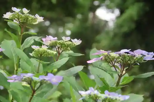 隠津島神社の庭園