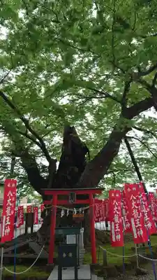 秩父今宮神社(埼玉県)