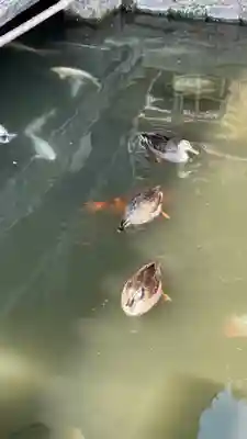 鑁阿寺(栃木県)