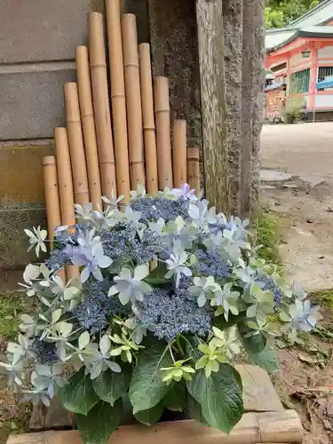 住吉神社の自然