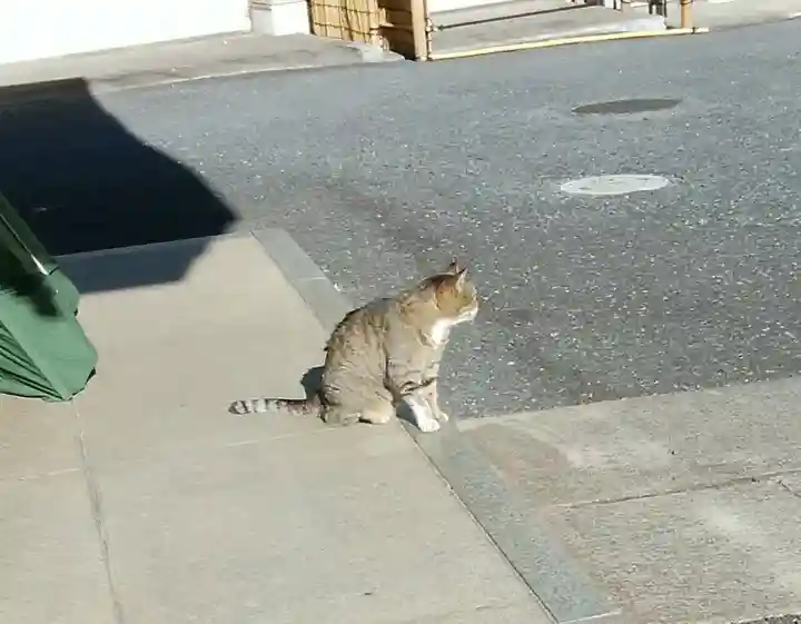 白金氷川神社の動物