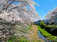 小金井神社(東京都)
