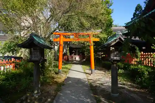 尾崎神社の鳥居