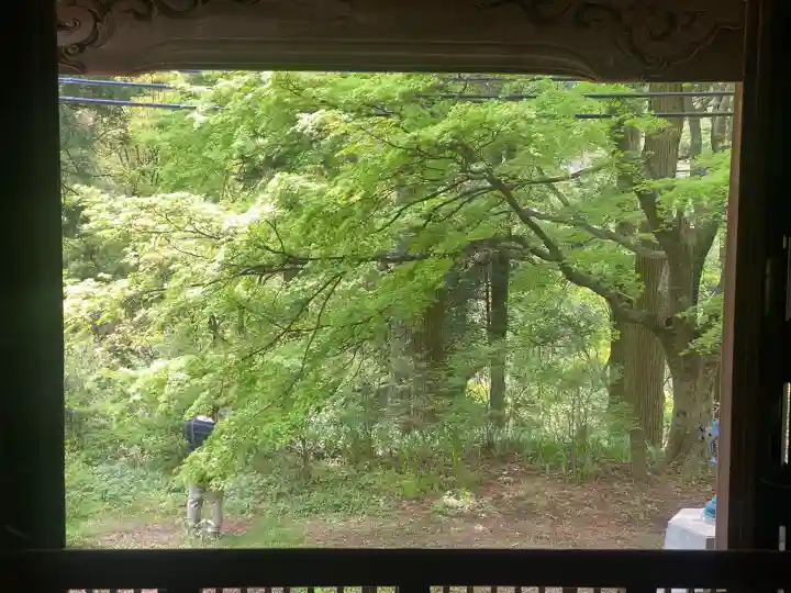 施福寺の{uncategorized: "未分類", other: "その他", undefined: "問題あり", building: "その他建物", grave: "お墓", sacred_gate: "鳥居", guardian: "狛犬", statue: "像", buddha: "仏像", history: "歴史", nature: "自然", garden: "庭園", animal: "動物", pagoda: "塔", temizu: "手水舎", mountain_gate: "山門・神門", sanctuary: "本殿・本堂", subordinate: "末社・摂社", art: "芸術", scenery: "景色", jizo: "地蔵", ema: "絵馬", goshuin: "御朱印", omikuji: "おみくじ", items: "授与品その他", amulet: "お守り", goshuincho: "御朱印帳", eats: "食事", festival: "お祭り", votive_dance: "神楽", shichigosan: "七五三参", wedding: "結婚式", experience: "体験その他", initially: "初詣", around: "周辺", anti_infection: "感染症対策"}