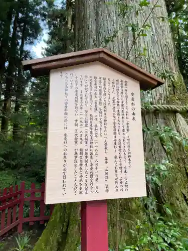 箱根神社の歴史