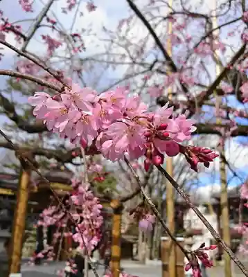 大國魂神社(東京都)