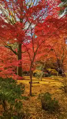 禅林寺(永観堂)(京都府)