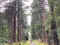 平泉寺白山神社(福井県)