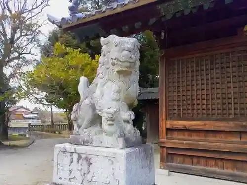 熊野社（築地熊野社）の狛犬