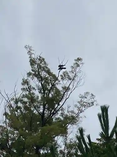 寒川神社(神奈川県)