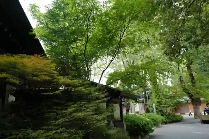 阿佐ヶ谷神明宮の{uncategorized: "未分類", other: "その他", undefined: "問題あり", building: "その他建物", grave: "お墓", sacred_gate: "鳥居", guardian: "狛犬", statue: "像", buddha: "仏像", history: "歴史", nature: "自然", garden: "庭園", animal: "動物", pagoda: "塔", temizu: "手水舎", mountain_gate: "山門・神門", sanctuary: "本殿・本堂", subordinate: "末社・摂社", art: "芸術", scenery: "景色", jizo: "地蔵", ema: "絵馬", goshuin: "御朱印", omikuji: "おみくじ", items: "授与品その他", amulet: "お守り", goshuincho: "御朱印帳", eats: "食事", festival: "お祭り", votive_dance: "神楽", shichigosan: "七五三参", wedding: "結婚式", experience: "体験その他", initially: "初詣", around: "周辺", anti_infection: "感染症対策"}