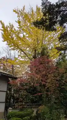 大念寺(京都府)