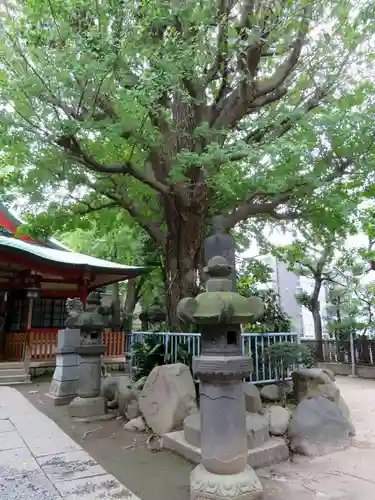 秋葉神社の自然