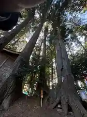 坪沼八幡神社(宮城県)