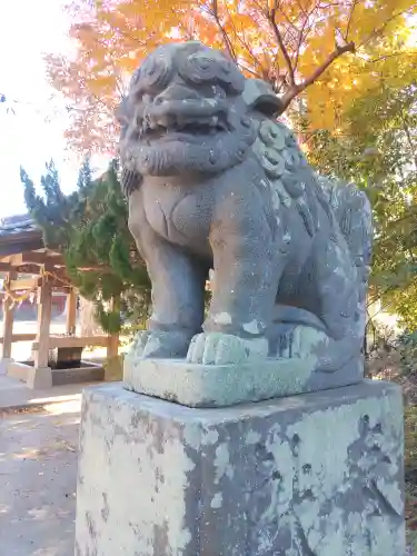 鶴谷八幡宮の狛犬