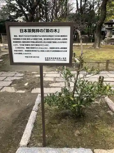 聖福寺(福岡県)