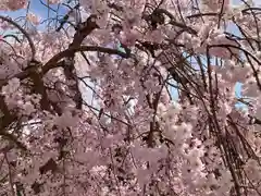 櫟野寺(滋賀県)