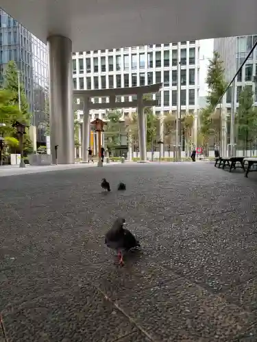 虎ノ門金刀比羅宮(東京都)