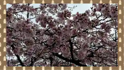 密藏院(埼玉県)