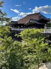 清水寺の景色