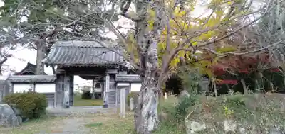 國分寺（国分寺）の山門・神門